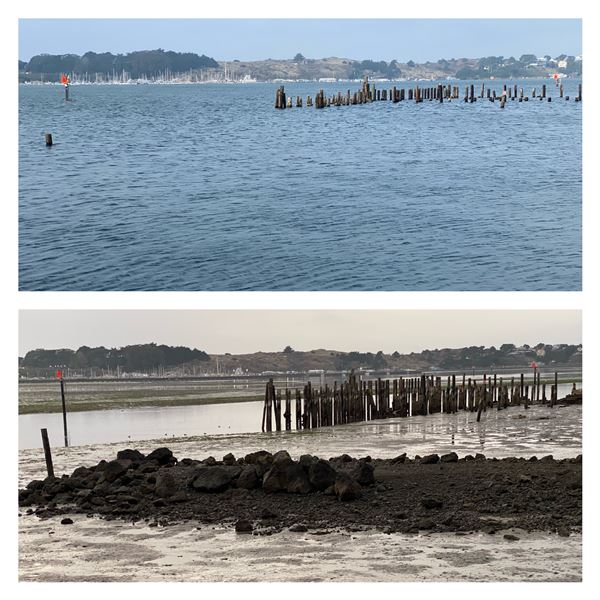 The Tides Wharf & Restaurant (1/2/2024 - Credits: The Tides Wharf)