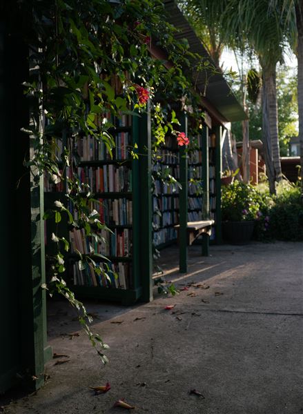 Bart's Bookstore (1/3/2024 - Credits: Bart's Bookstore)