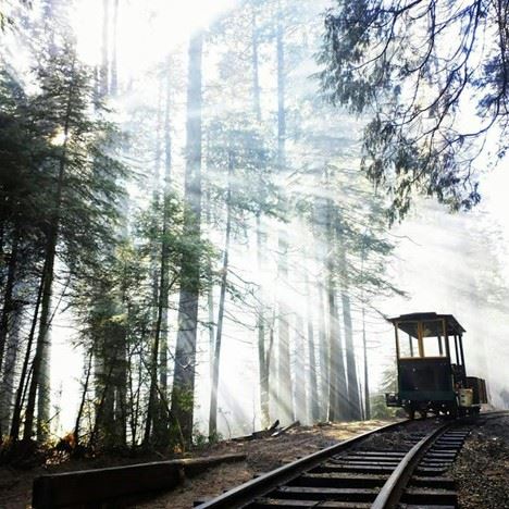 Yosemite Mountain Sugar Pine Railroad (1/25/2024 - Credits: Photo Courtesy of Yosemite Mountain Sugar Pine Railroad)