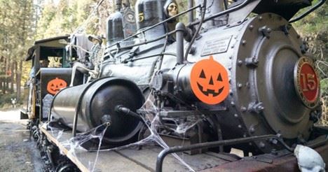 Yosemite Mountain Sugar Pine Railroad (1/25/2024 - Credits: Photo Courtesy of Yosemite Mountain Sugar Pine Railroad)
