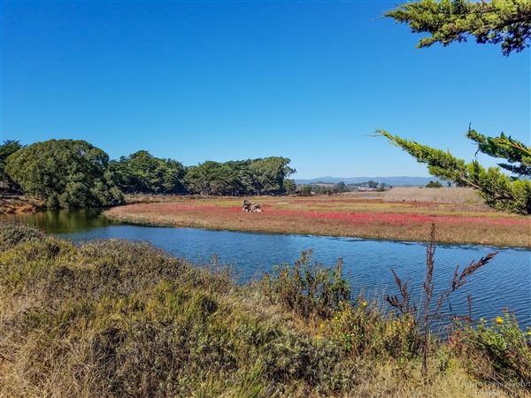 Parajo Dunes Resort Monterey Bay (2/20/2024 6:35:29 PM - Credits: Reservations & Events Coordinator)