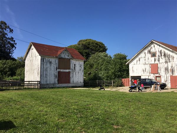 Wilder Ranch State Park (SP) / Four Mile Beach & Three Mile Beach - Wilder Ranch Barns (1/1/2019 - Credits: Traci Hukill)