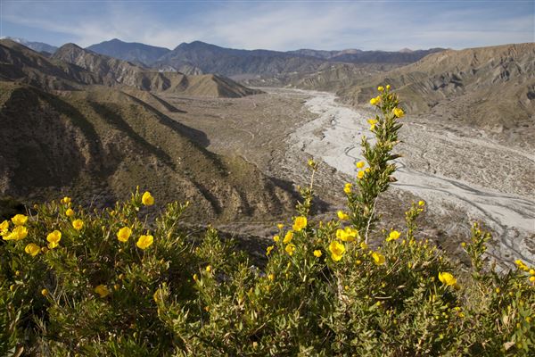 Whitewater Preserve (3/12/2011 - Credits: Riverside County Film Commission)