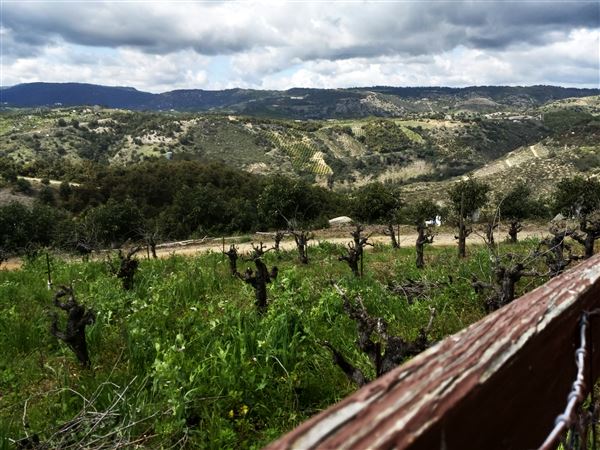 Randhawa Ranch (3/7/2024 - Credits: submitted by: Matthew Stuhl)