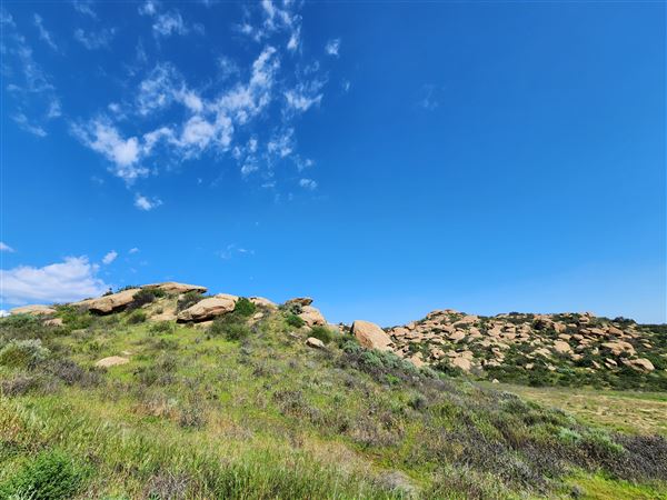 Rocky Peak Park (3/19/2024 - Credits: Rene Garcia)