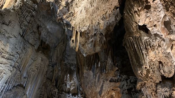 20359 Shasta Caverns Road (5/5/2024 - Credits: Brandy Davis)