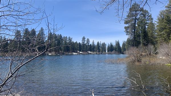 Manzanita Lake (5/3/2024 - Credits: Brandy Davis)