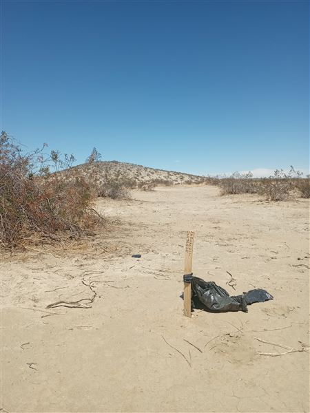 Desert Bliss (6/17/2023 - Credits: Ora Beth Nance)