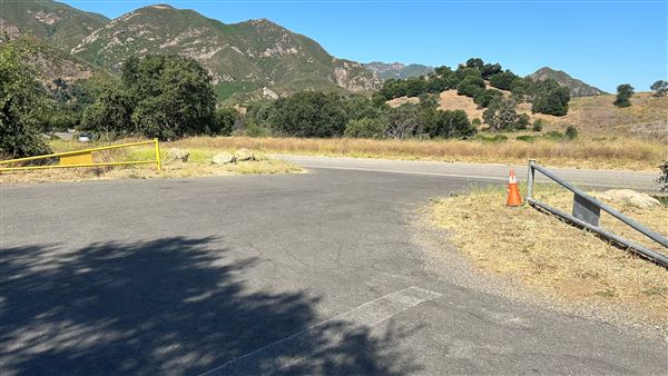 Malibu Creek State Park (SP) - Lower Parking Lot (6/26/2024 - Credits: Brandy Davis)