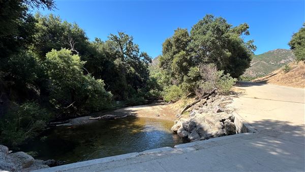 Malibu Creek State Park (SP) - Trail Head and Creek (6/26/2024 - Credits: Brandy Davis)