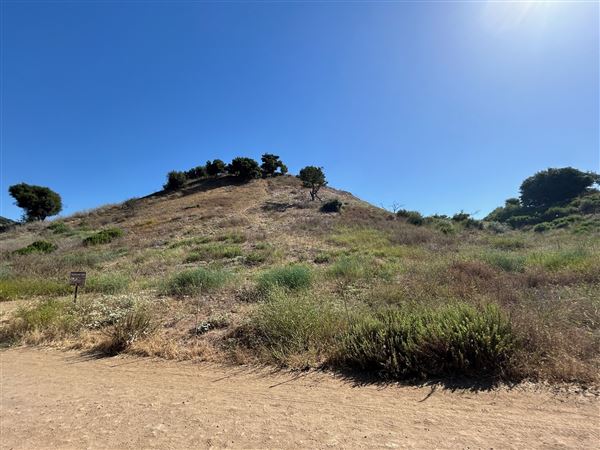 Malibu Creek State Park (SP) - Crags Road (6/26/2024 - Credits: Brandy Davis)
