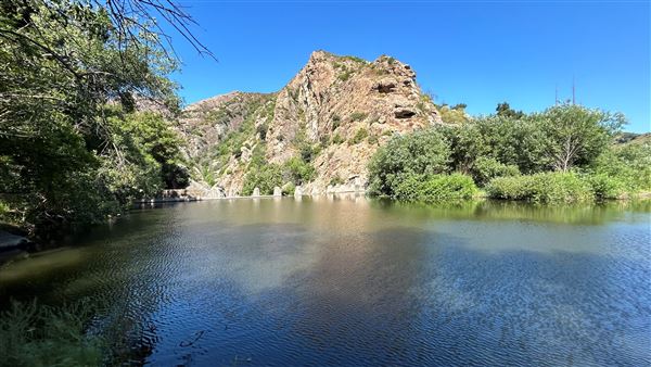 Malibu Creek State Park (SP) - Century Lake (6/26/2024 - Credits: Brandy Davis)