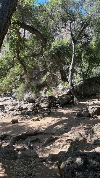 Malibu Creek State Park (SP) - Rock Pool and trail (6/26/2024 - Credits: Brandy Davis)