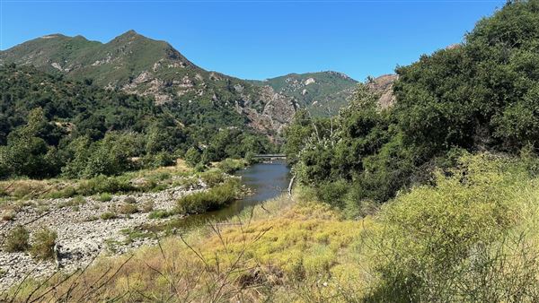 Malibu Creek State Park (SP) - Scenic Views from trail (6/26/2024 - Credits: Brandy Davis)