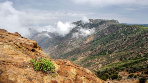 Cleveland National Forest (7/2/2024 - Credits: Public Affairs Officer Forest Service)