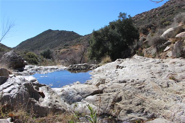 Cleveland National Forest (7/2/2024 - Credits: Public Affairs Officer Forest Service)