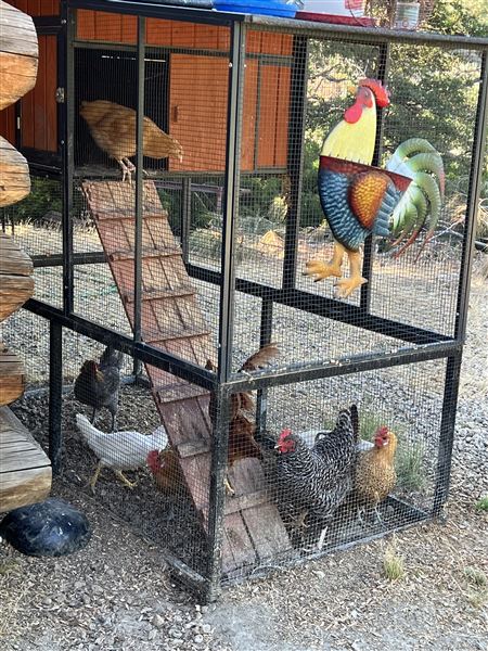 Tehachapi Log Cabin (5/4/2024 - Credits: Barb Pfeiffer)