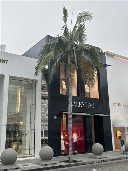 Rodeo Drive - Beverly Hills (7/12/2024 - Credits: Brandy Davis)