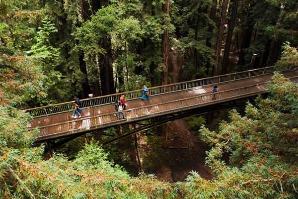 University of California, Santa Cruz - UCSC (2/9/2024 - Credits: UC Regents, UC Santa Cruz)