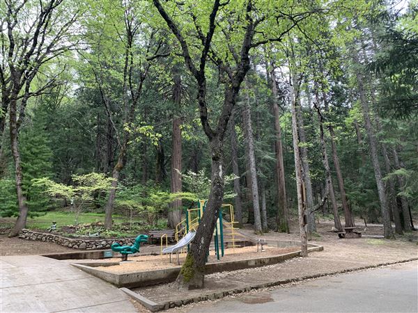 Dunsmuir City Park Sacramento River (5/4/2024 - Credits: Brandy Davis)