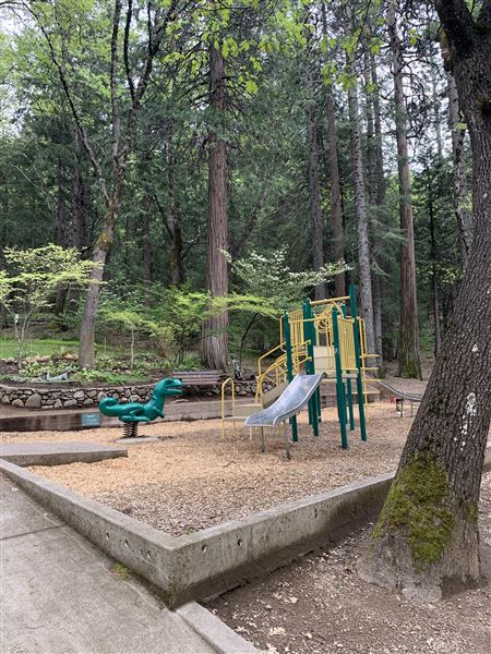 Dunsmuir City Park Sacramento River (5/4/2024 - Credits: Brandy Davis)