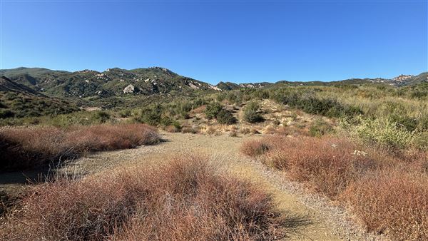 Malibu Creek State Park (SP) - M*A*S*H* Site Location (7/31/2024 - Credits: Brandy Davis)