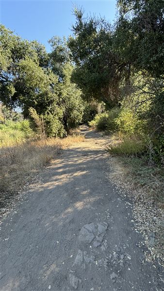 Malibu Creek State Park (SP) - M*A*S*H* Site Location (7/31/2024 - Credits: Brandy Davis)