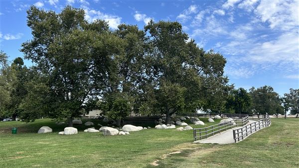 Sepulveda Basin Wildlife Preserve / Woodley Park - Amphitheater (8/2/2024 - Credits: Brandy Davis)