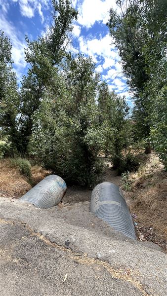 Sepulveda Basin Wildlife Preserve / Woodley Park - crossing between preserve and cricket area (8/2/2024 - Credits: Brandy Davis)