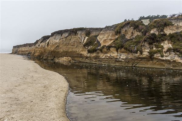 Half Moon Bay State Beach (SB) (8/5/2024 - Credits: Photo Courtesy of California State Parks 2024)