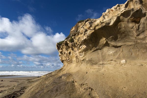 San Gregorio State Beach (SB) (8/5/2024 - Credits: Courtesy of California State Parks 2024)