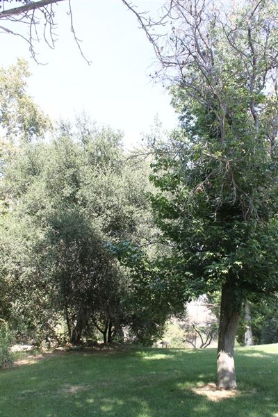 Ed Davis Park in Towsley Canyon - Santa Monica Mountains Conservancy - SMMC (8/20/2024 - Credits: Santa Monica Mountains Conservancy)