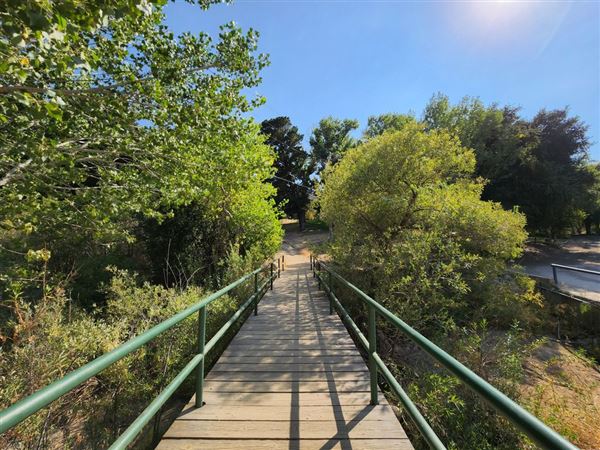 Ed Davis Park in Towsley Canyon - Santa Monica Mountains Conservancy - SMMC (8/20/2024 - Credits: Santa Monica Mountains Conservancy)