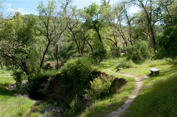 Vichy Springs Resort and Inn - Trail to the falls (5/8/2024 - Credits: Gilbert Ashoff)