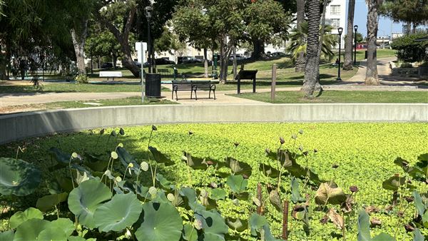 Echo Park Lake Recreation Center (9/17/2024 - Credits: Brandy Davis)