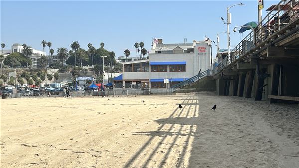 Santa Monica State Beach (SB) / Pacific Park Santa Monica Pier (10/2/2024 - Credits: Brandy Davis)