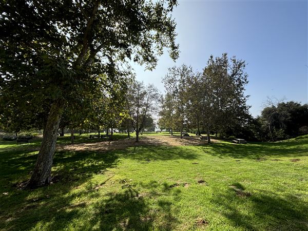 Elysian Park - Angels Point (6/22/2024 - Credits: Brandy Davis)