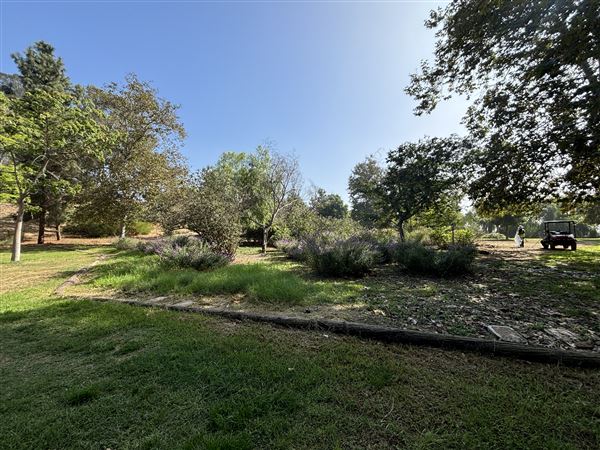 Elysian Park - Angels Point (6/22/2024 - Credits: Brandy Davis)
