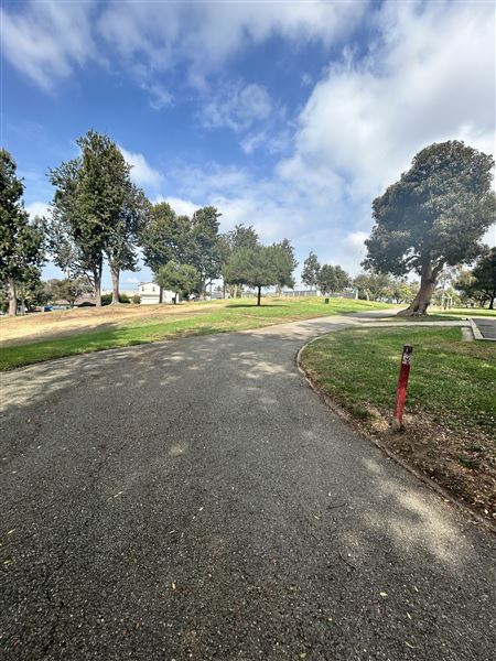 Edward Vincent Park - Paths and grass area (10/17/2024 - Credits: Brandy Davis)