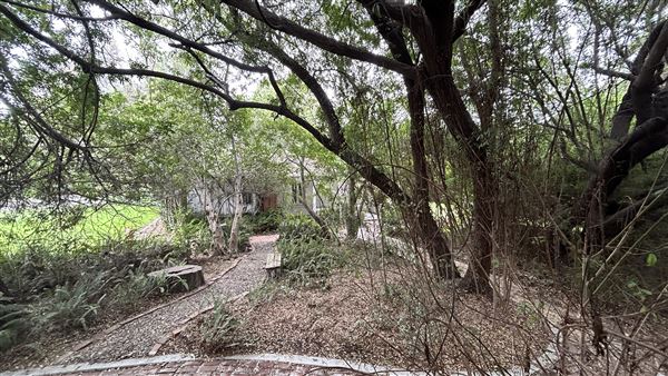 Centinela Adobe Ranch House (10/28/2024 - Credits: Brandy Davis)