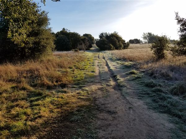 Ragle Ranch Regional Park (10/29/2024 - Credits: Sonoma County)
