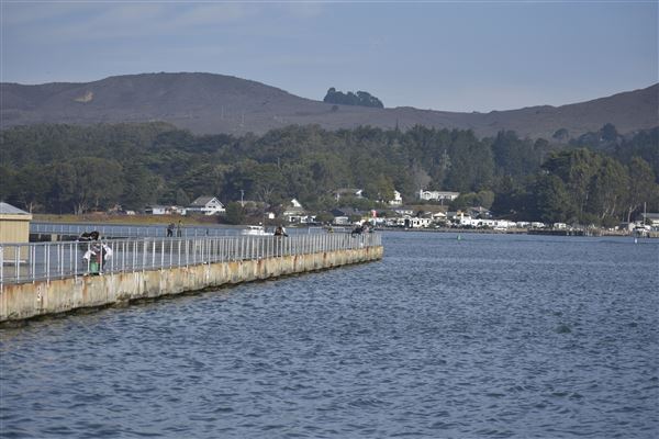 Spud Point Marina (10/29/2024 - Credits: Sonoma County)