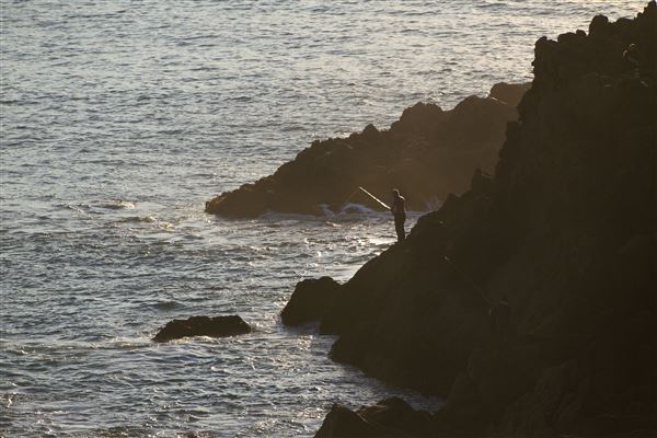 Stillwater Cove Regional Park (10/29/2024 - Credits: Sonoma County)
