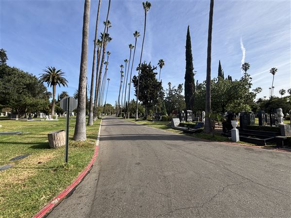 Hollywood Forever Cemetery (11/7/2024 - Credits: Brandy Davis)