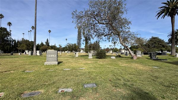 Hollywood Forever Cemetery (11/7/2024 - Credits: Brandy Davis)