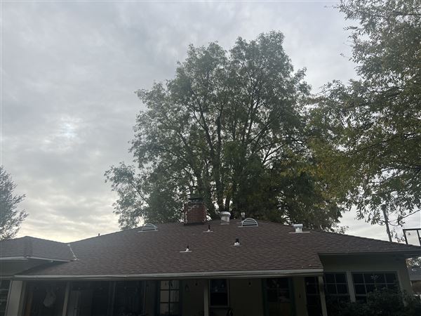 Altadena (11/23/2024 - Credits: Anouar Kartite)