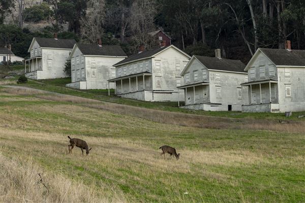 Angel Island State Park (SP) (12/10/2024 - Credits: Brian Baer)