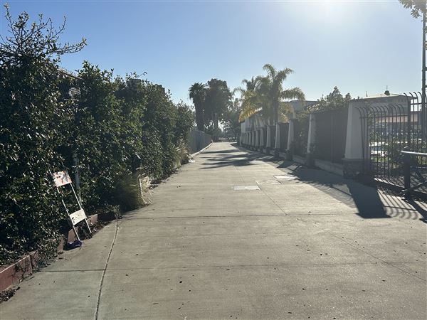 San Fernando Recreation Park (2/24/2025 - Credits: Brandy Davis)