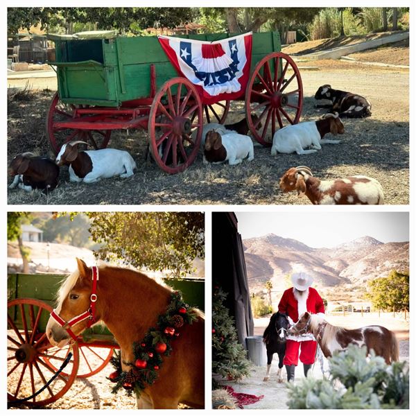 River Oaks Ranch (2/14/2025 - Credits: Laurel Manning, Billy Ortiz, Shelly Lewis)