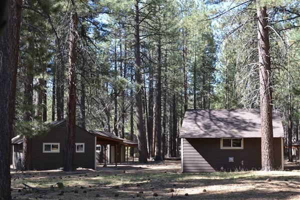 Camp Whittle (3/3/2025 - Credits: CS Team Member)